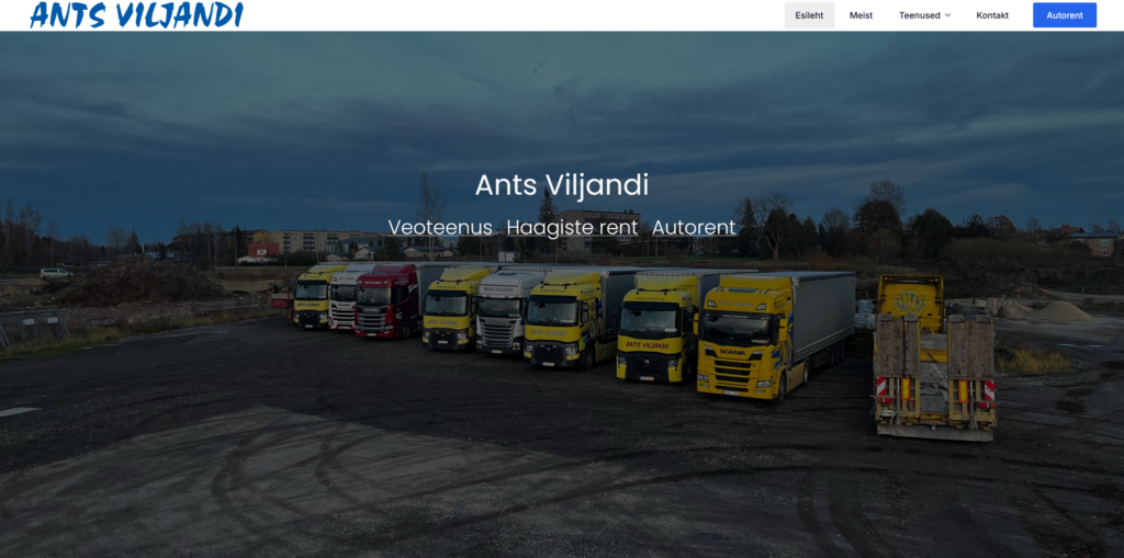 Ants Viljandi